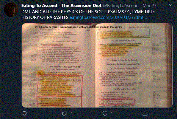 DMT PHYSICS OF SOUL PSALMS 91 MY TEENAGE BIBLE 27MARCH2020 tweet