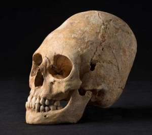Homo Capensis nephilim skull