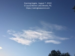 Evening Angels