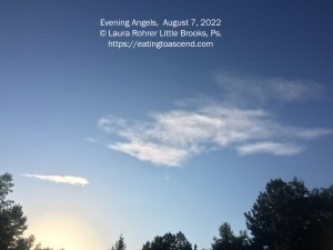 Evening Angels