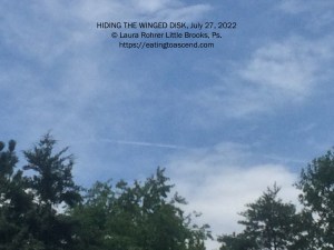 Hiding the Winged Disk