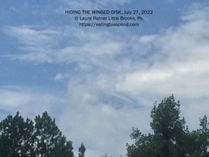 Hiding the Winged Disk