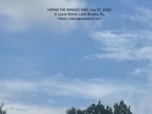 Hiding the Winged Disk
