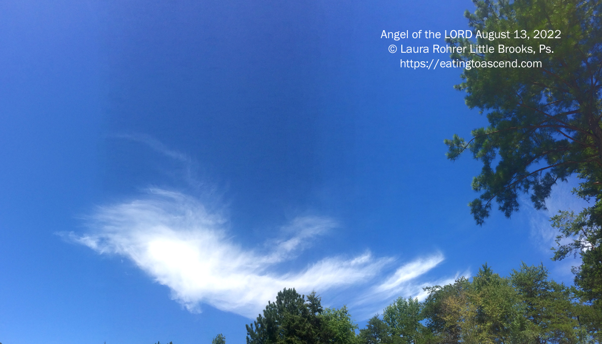 Angel Of The Lord August 13, 2022