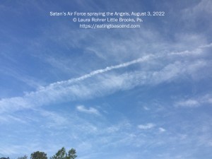 Satan's Air Force spraying the Angels