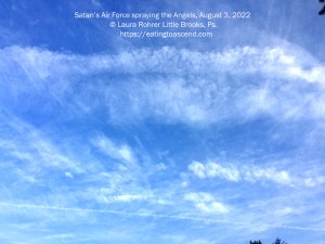 Satan's Air Force spraying the Angels