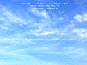 Satan's Air Force spraying the Angels