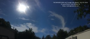THE WINGED DISK