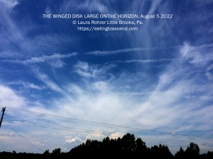 THE WINGED DISK