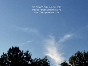 THE WINGED DISK