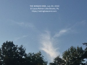 THE WINGED DISK