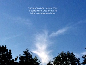 THE WINGED DISK
