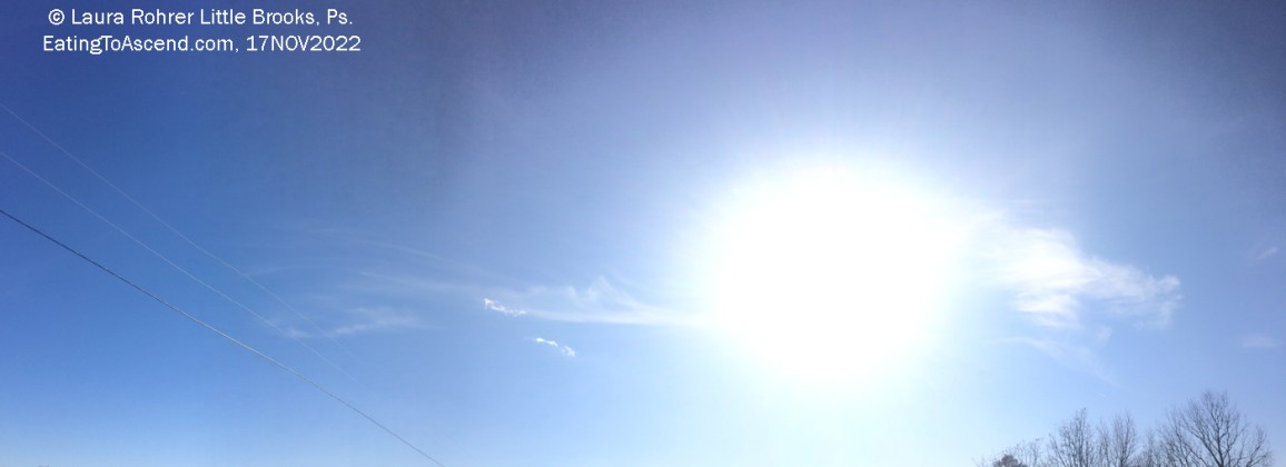 CME 17November2022 IMG_5759 1400p