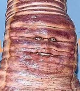 Heidi Klum parasite 1