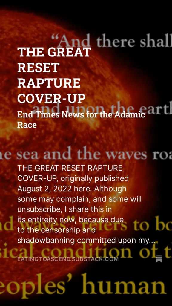 THE GREAT RESET RAPTURE COVER-UP Substack splash 15Dec2023