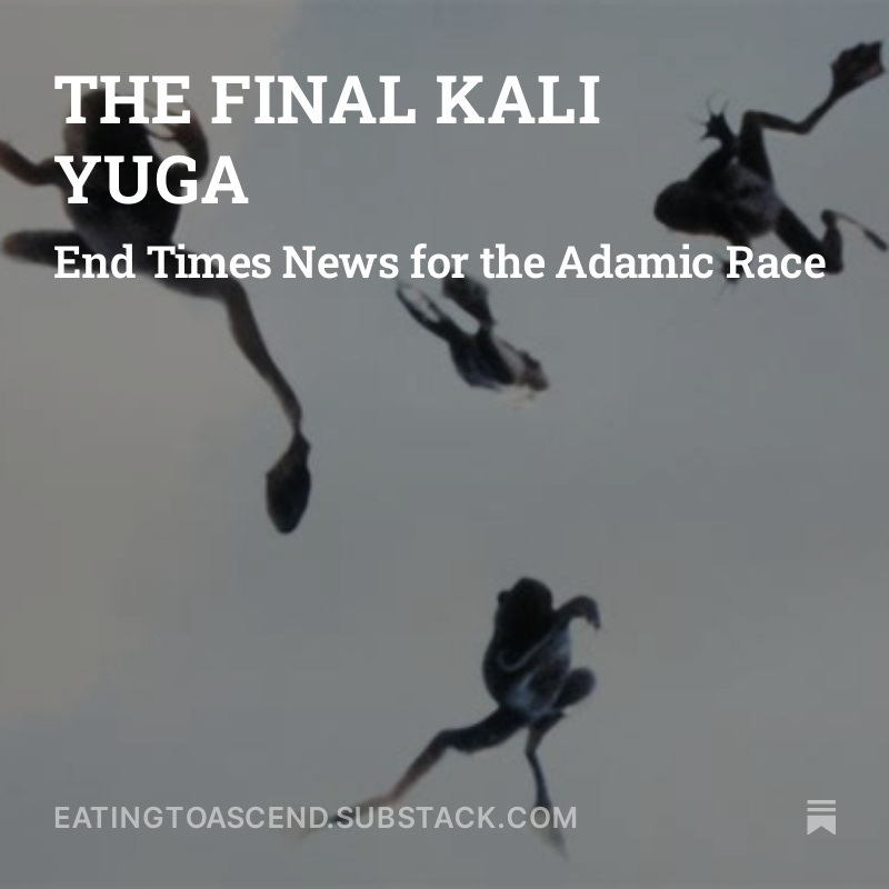 THE FINAL KALI YUGA SS SPLASH