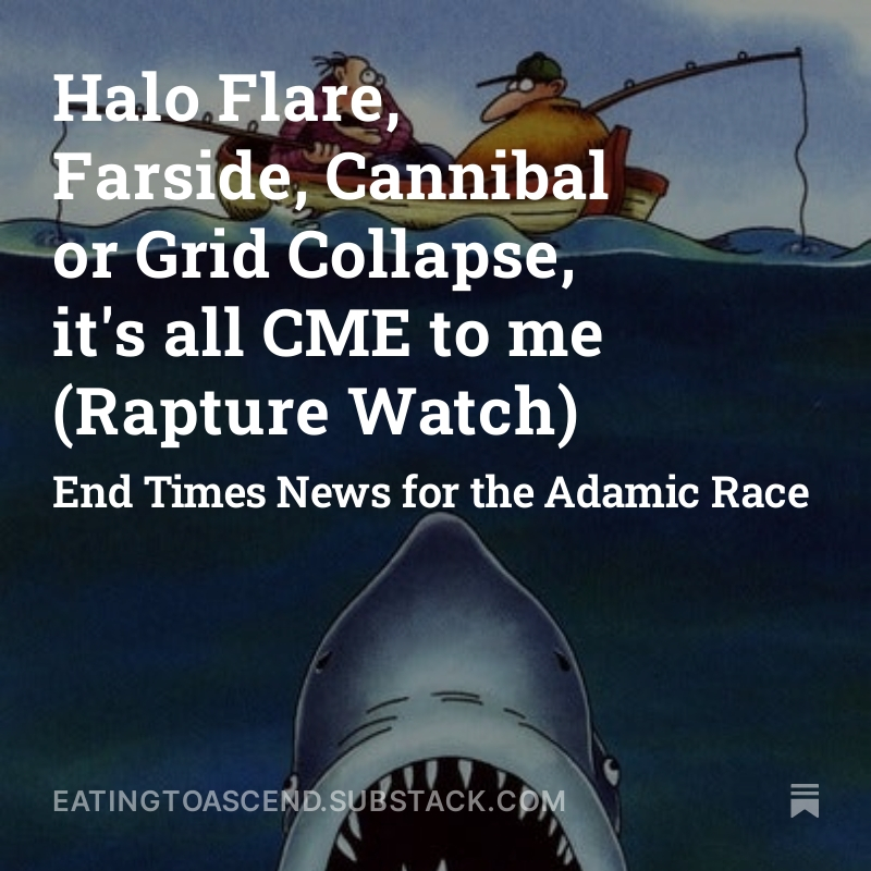 Halo Flare Digital Scroll 29July2024 splash