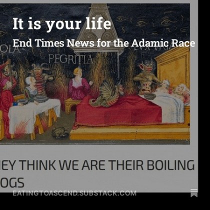 IT IS YOUR LIFE Substack splash 450