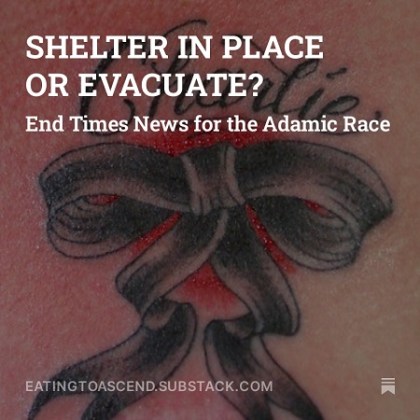 SHELTER IN PLACE OR EVACUATE Digital Scrolls splash 450