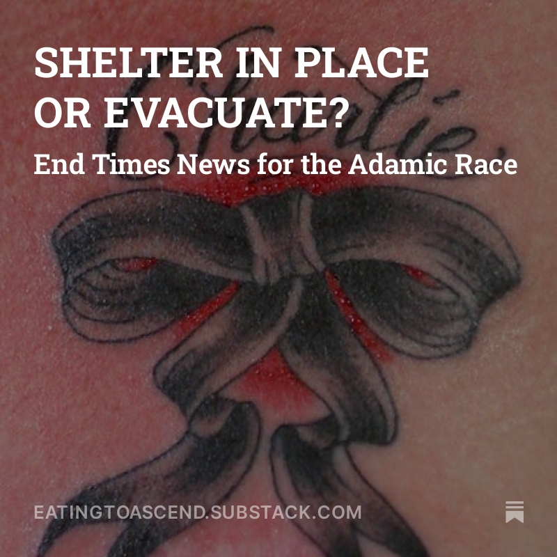 SHELTER IN PLACE OR EVACUATE Digital Scrolls splash