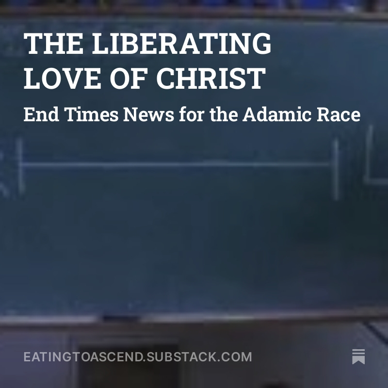 THE LIBERATING LOVE OF CHRIST Digital Scrolls Splash