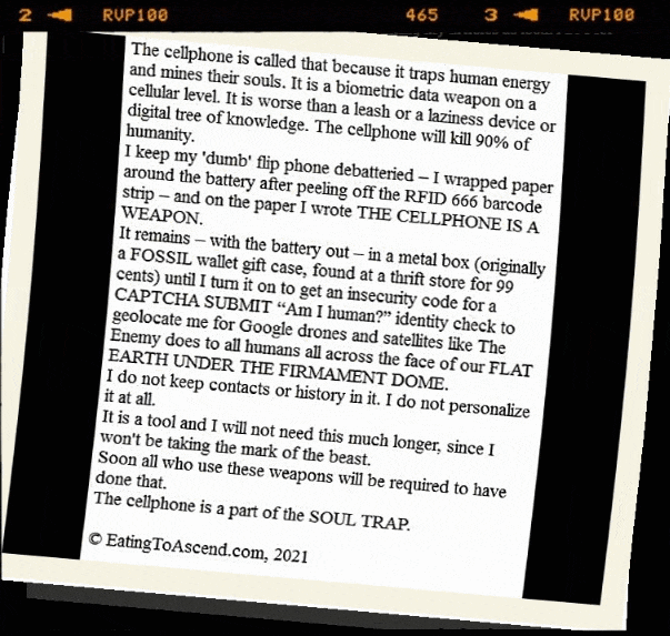 The Biodigital Convergence Substack Pt3 splash gipfhey