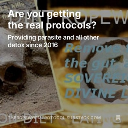 Are you getting the real protocols splash 450