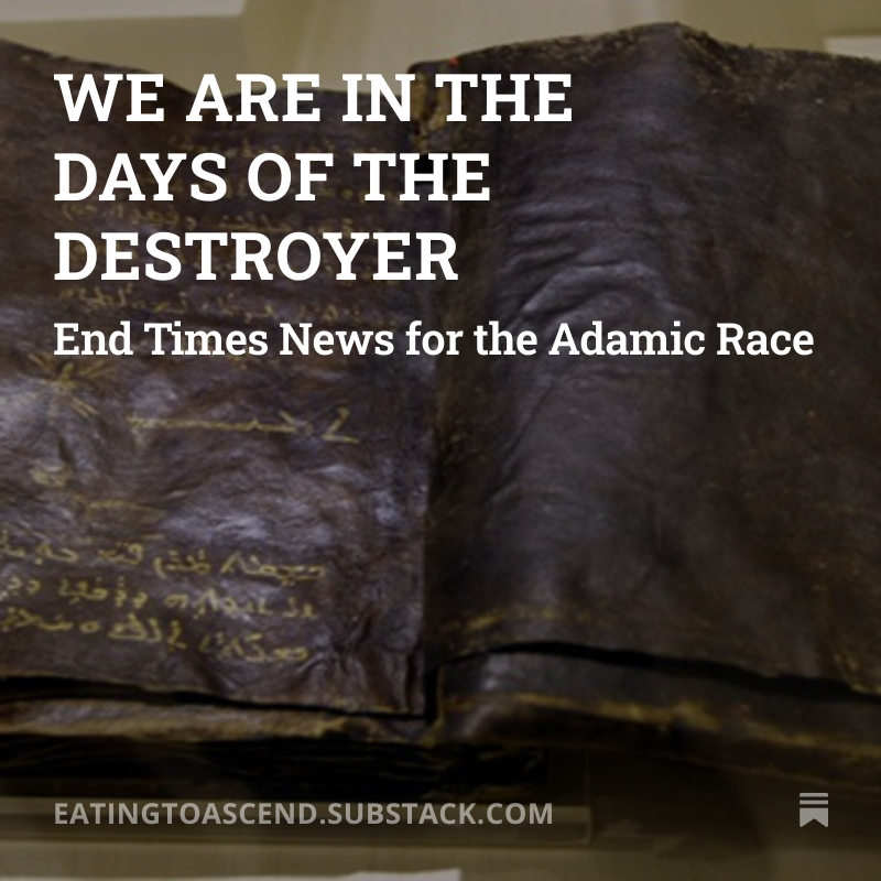 We are in the days of the destroyer SS splash