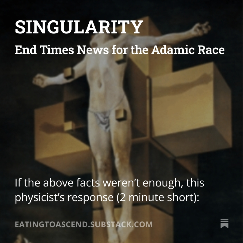 SINGULARITY SS Digital Scrolls 1April2025 splash