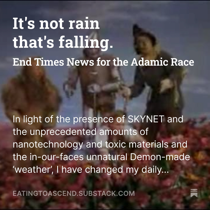 Its not rain thats falling DS splash