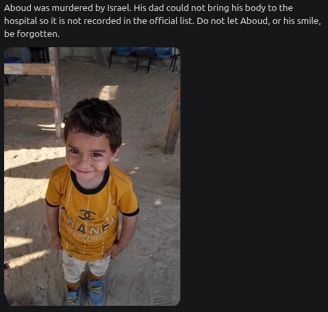 Aboud, a beautiful child murdered by Israel 10July2025