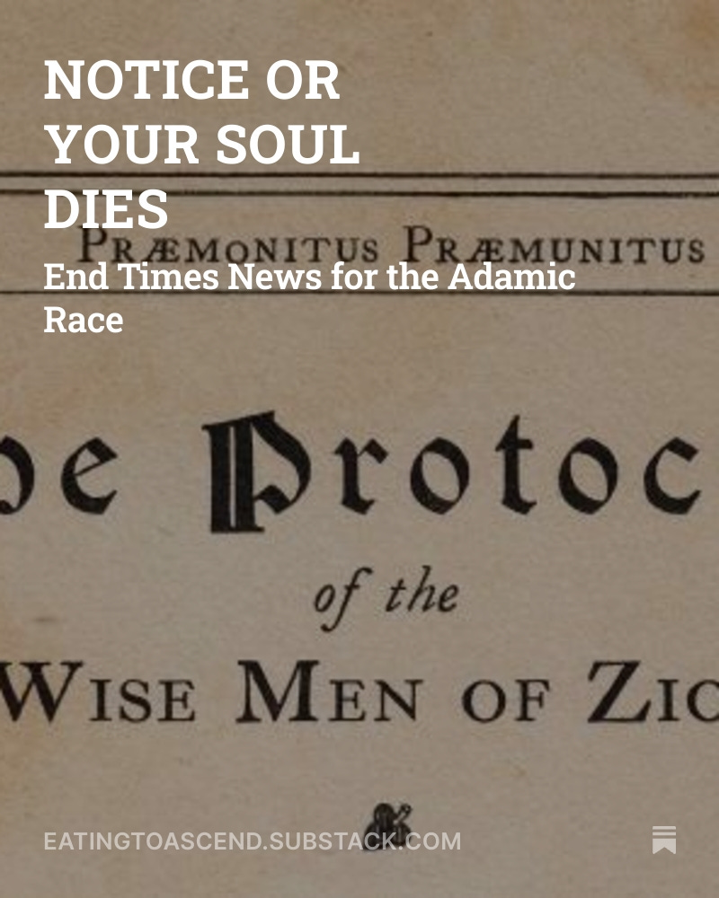 NOTICE OR YOUR SOUL DIES SS 24JULY2025 SPLASH