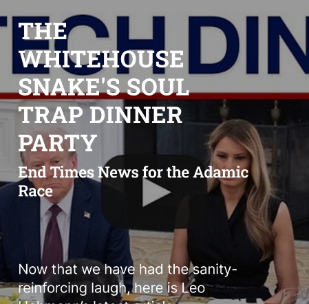 The Whitehouse Snakes Soul Trap Dinner party DS splash