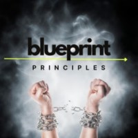 Blueprint Principles newsletter logo