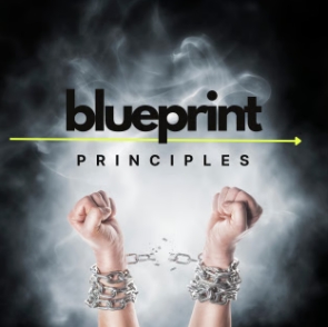 Blueprint Principles newsletter logo