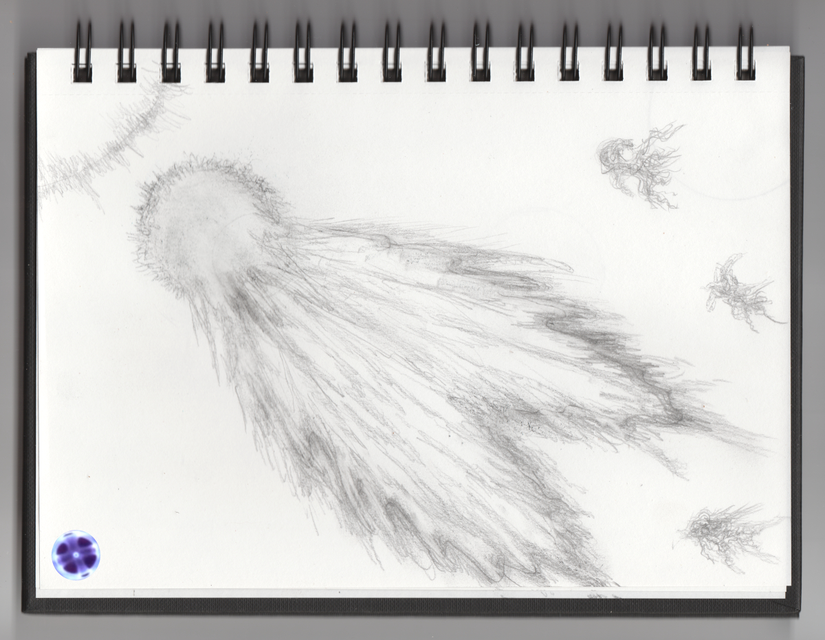 Comet detailed record Scan 1 ETA Web 1200p