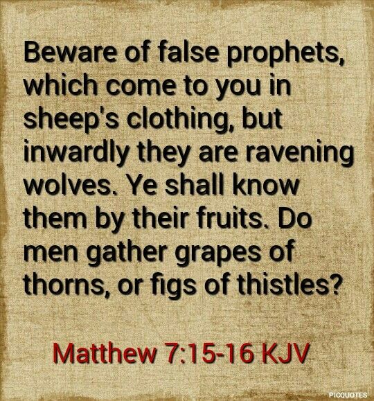 Matthew 7:15-16
